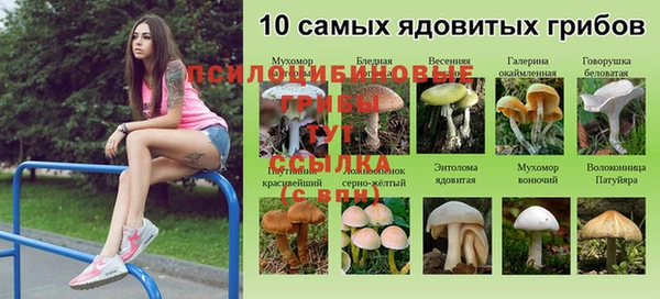 метадон Горняк