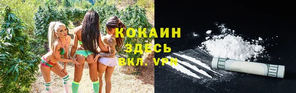 метадон Горняк
