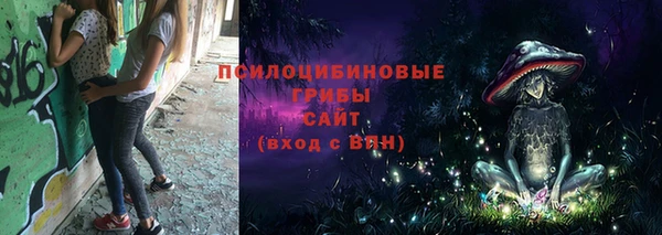 бошки Горно-Алтайск