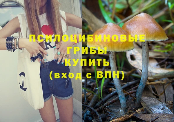 МДПВ Горнозаводск
