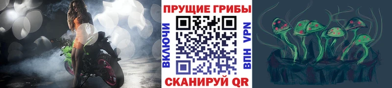 Псилоцибиновые грибы MAGIC MUSHROOMS  Купить закладки  Новоульяновск 